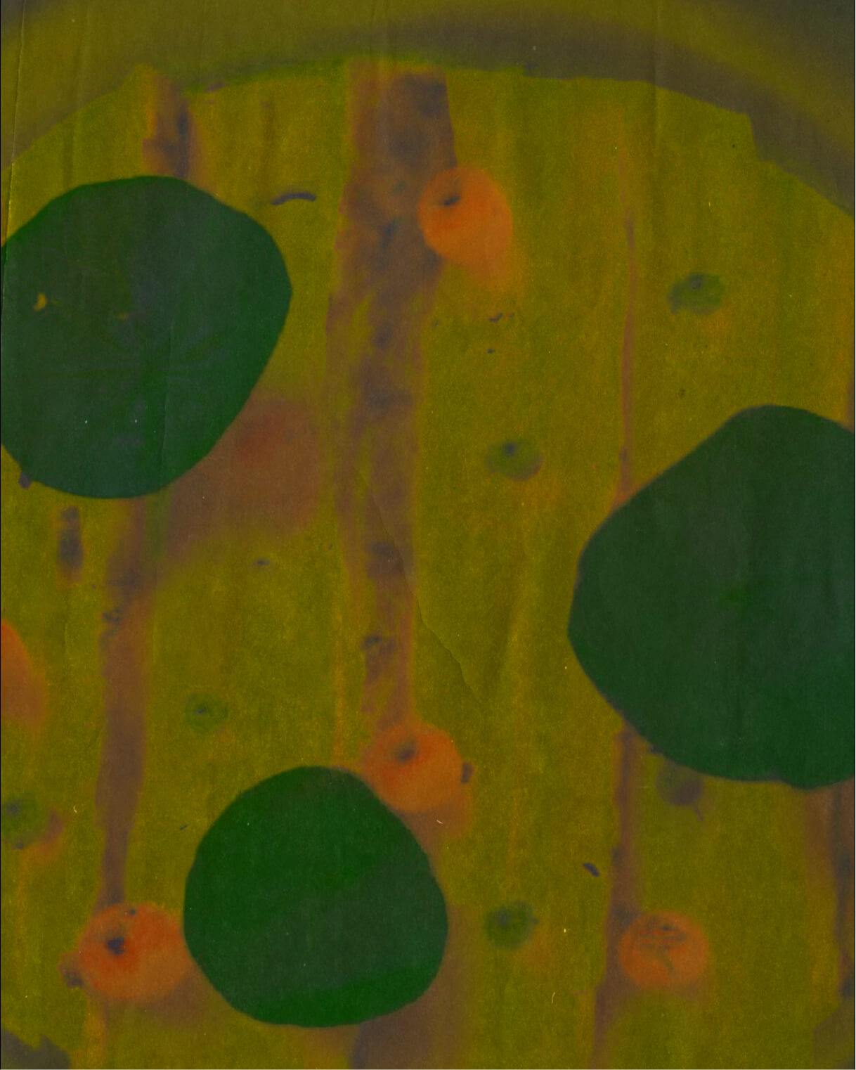 Restaurant Nolla green texture. Fine dining in Helsinki | Best restaurants in Helsinki